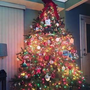 Meet your Posher, Mikhaila